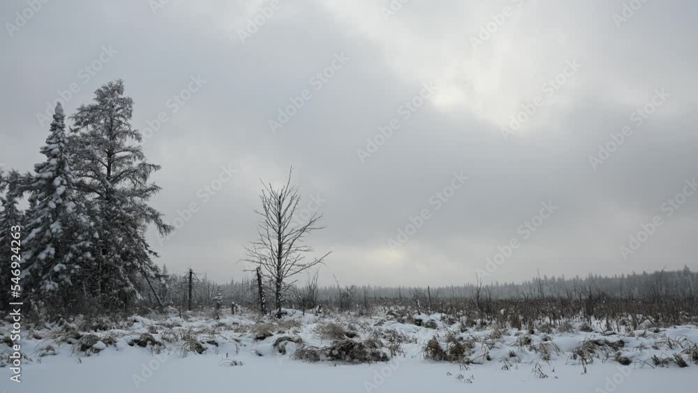 Time lapse of fast moving grey clouds above a snowy marsh with a few scattered trees
Time lapse of fast moving grey clouds above a snowy marsh with a few scattered trees
