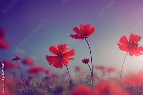 Beautiful red poppy flowers blooming in the field  © LeopoldMasterson