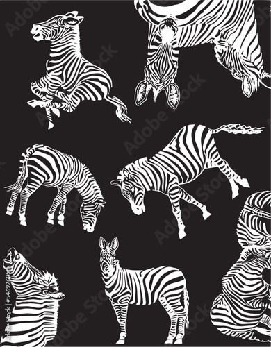 Graphical vertical pattern with  zebra on black background   stylish cover for for fabric  postcards  wallpapers  graphical vector illustration