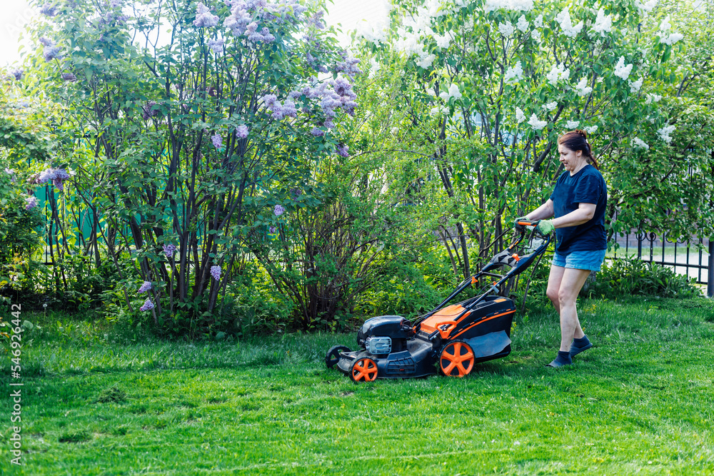 Smiling dark-haired woman in casual clothes using lawn mower or grass cutter, caring her lawn with organic living plants on the backyard. Cutting fresh green grass in sunny day against flower trees Smiling dark-haired woman in casual clothes using lawn mower or grass cutter, caring her lawn with organic living plants on the backyard. Cutting fresh green grass in sunny day against flower trees