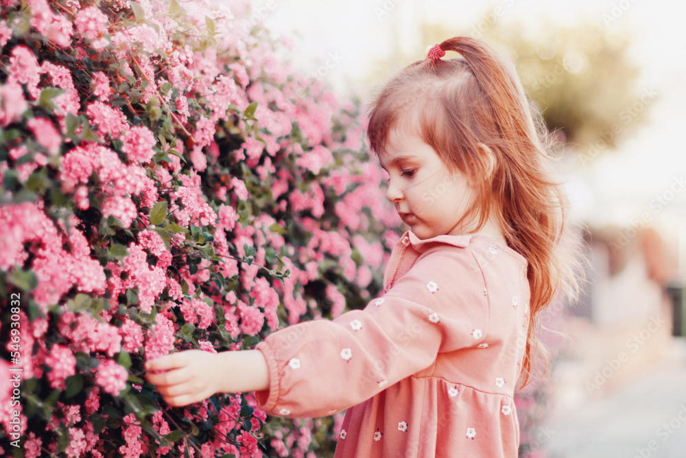 Little girl wear casual dress walking in park, smelling pink blooming flowers.