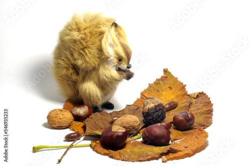 Stillleben mit Herbstlaub und Eichhörnchernfigur