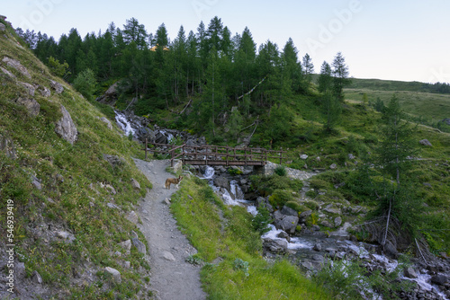 Hiking around Mont Blanc, Alpine landscape