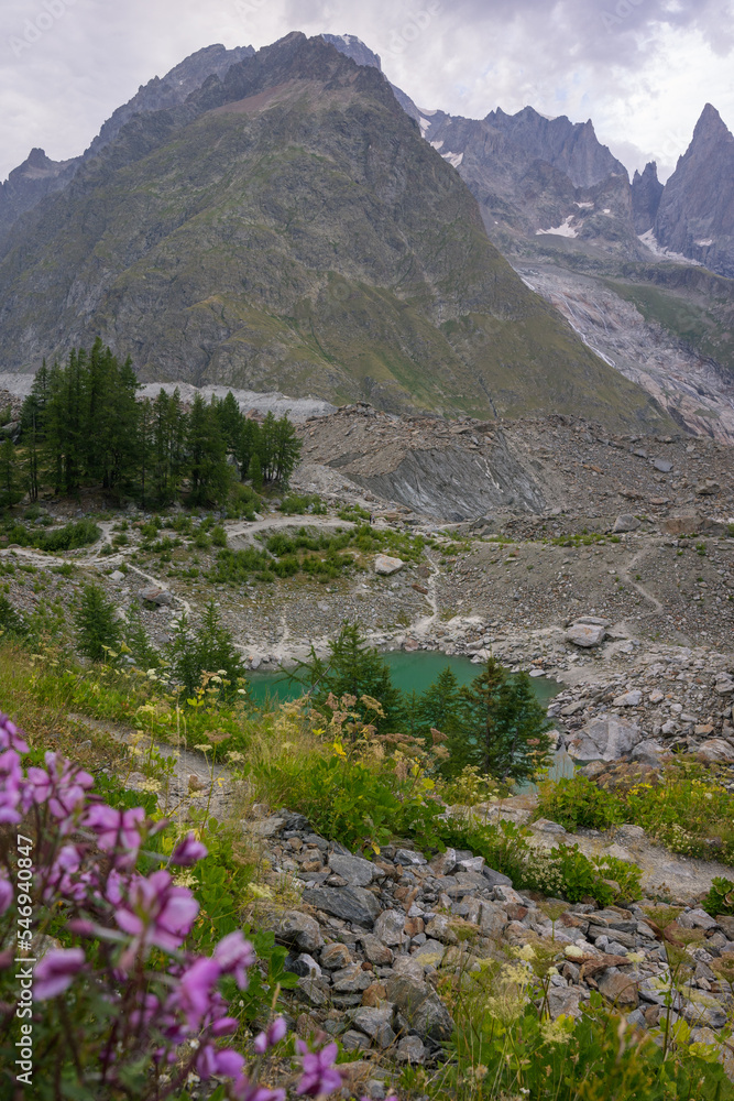 Fototapeta premium Hiking around Mont Blanc, Alpine landscape