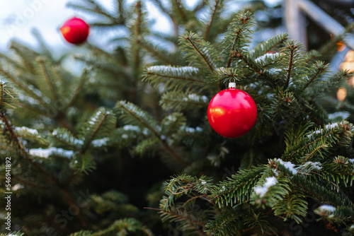 A red ball is a New Year's toy on a green Christmas tree