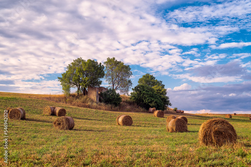 Scenic view of hay bales on field in Provence south of France against trees and blue sky and white clouds