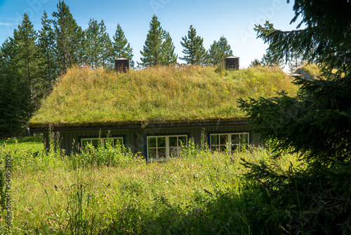 Obraz na plátně Norwegian hut with a roof covered with grass and moss
