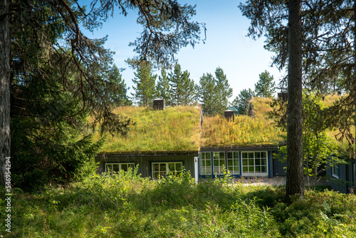 Obraz na plátně Norwegian house  in the forest with a roof covered with grass and moss
