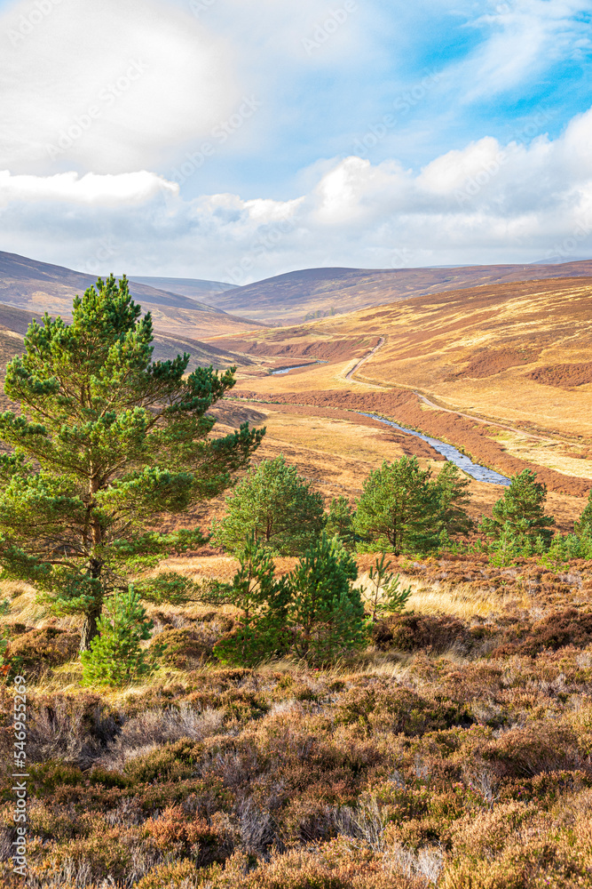 Naklejka premium Glen Dye from the Old Military Road south of Bridge of Dye, Aberdeenshire, Scotland UK