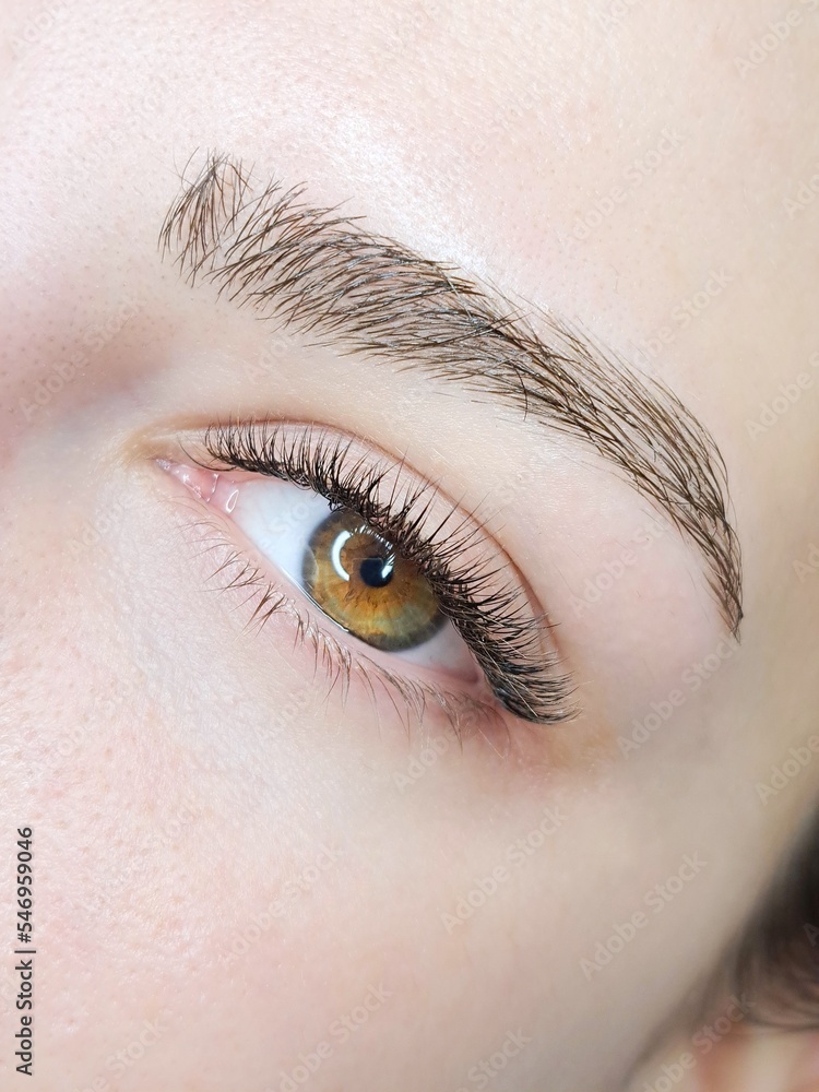 Naklejka premium Close up of eyelash Extensions in beauty salon macro eye