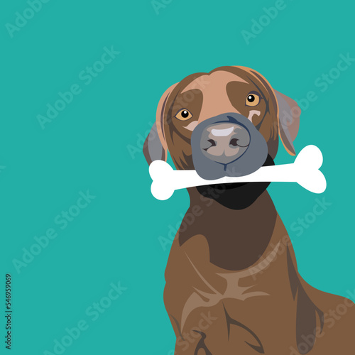 Illustration of dog biting a bone 