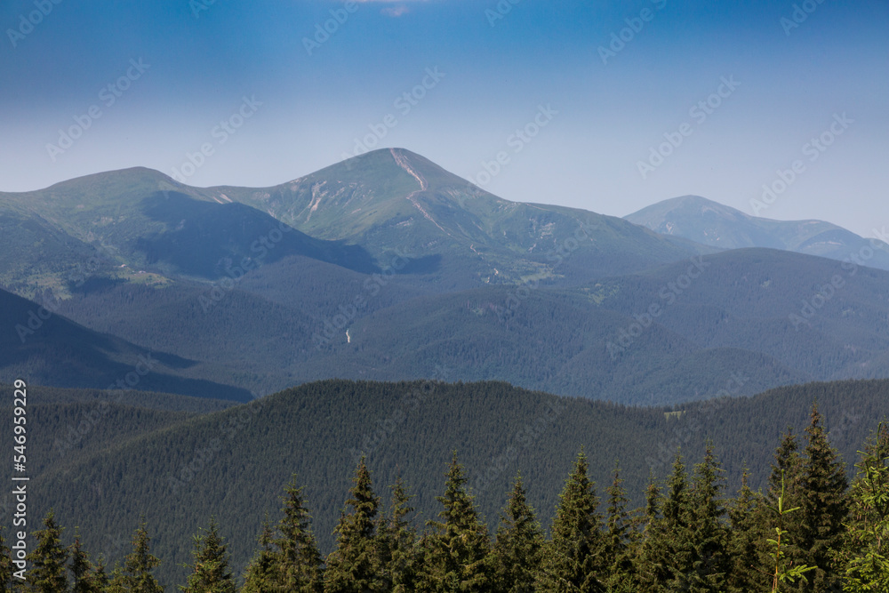 Hoverla mountain among grassy mountain hills and meadow covered green lush grass. Carpathian Mountains, Ukraine
