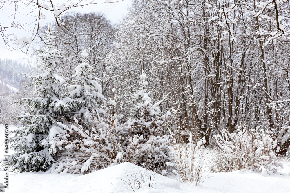 Winter in the mountains. Travel