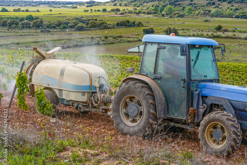 tractor sulphating the vineyards