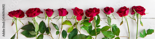 pattern of red roses on a white background. Wide photo.