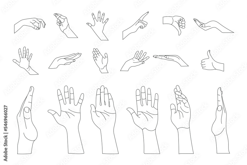 Hand pointing, finger, hand, (line drawing) - Stock Illustration [83574116]  - PIXTA