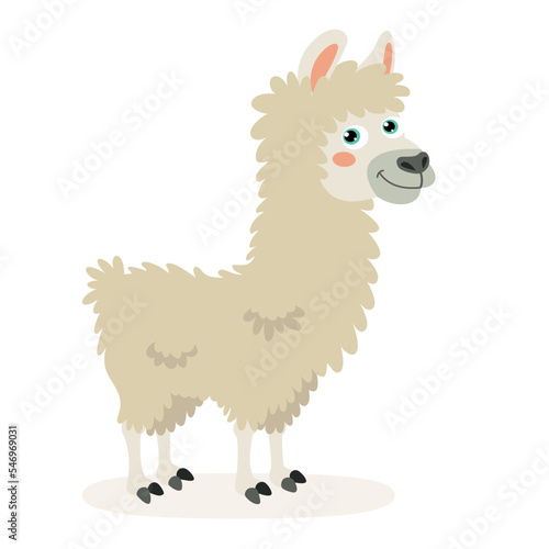 Cartoon Illustration Of A Llama