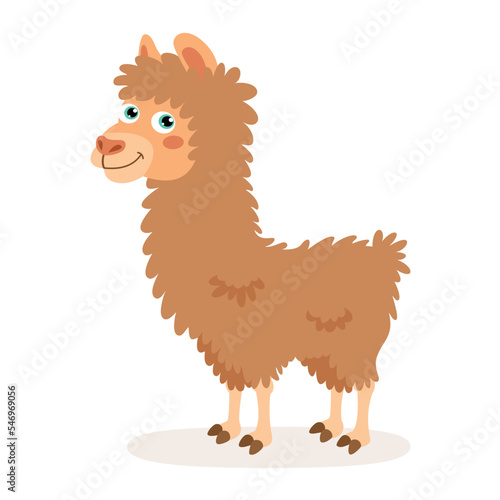 Cartoon Illustration Of A Llama