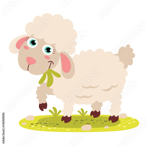 Cartoon Illustration Of A Lamb