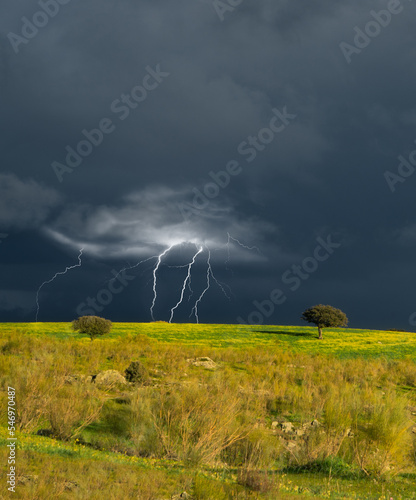 The green field of nature and the storm with lightning on the horizon.