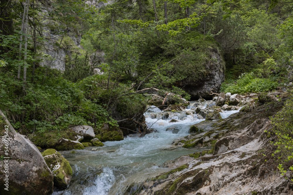 Wildwasser im wald.