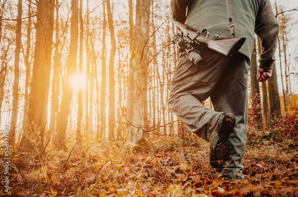 Hunter or ranger with gun or rifle in the forest hunting of some venison, hunting period, autumn season, hunting and people concept Hunter or ranger with gun or rifle in the forest hunting of some venison, hunting period, autumn season, hunting and people concept