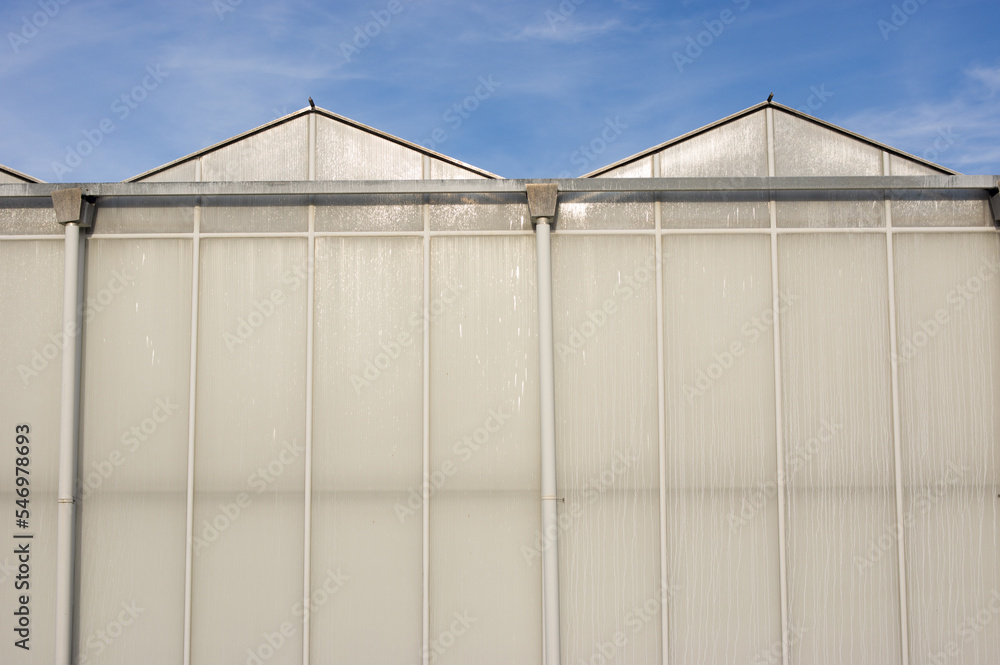 Greenhouse of glass exterior with a clear blue sky Greenhouse of glass exterior with a clear blue sky