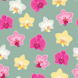 Pink and yellow orchids vector seamless pattern