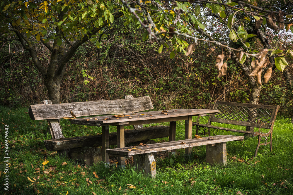 Weathered wooden table and benches in an overgrown garden in autumn Weathered wooden table and benches in an overgrown garden in autumn
