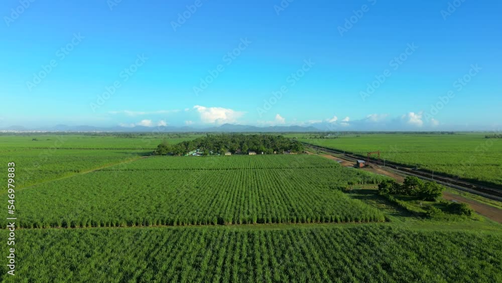 Aerial view of the plantation of sugarcane. Village of employees from Haiti. Mountains on the background. Higuey, Dominican Republic Aerial view of the plantation of sugarcane. Village of employees from Haiti. Mountains on the background. Higuey, Dominican Republic