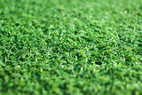 Green artificial grass background with copy space