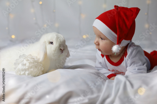 Wallpaper Mural Baby and white rabbit lie in bed. Happy litlle kid in red Christmas hat with rabbit. Child's Christmas gift in bed. Boy in a Santa hat with a rabbit. Funny pet. Christmas lights are on Torontodigital.ca