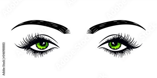 Green female eyes with extended eyelashes and eyebrow. Cat eye. Flat style with hand drawn lashes and brow. Business card idea, vector typography. Perfect green woman's eyes on white background. eps10