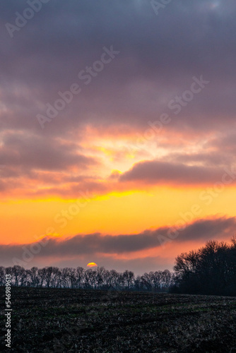 sunset over the forest