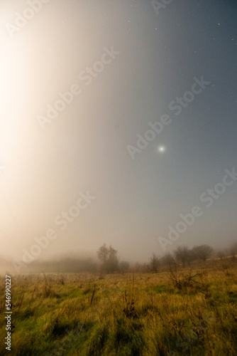 fog in forest © Александр Рябинин