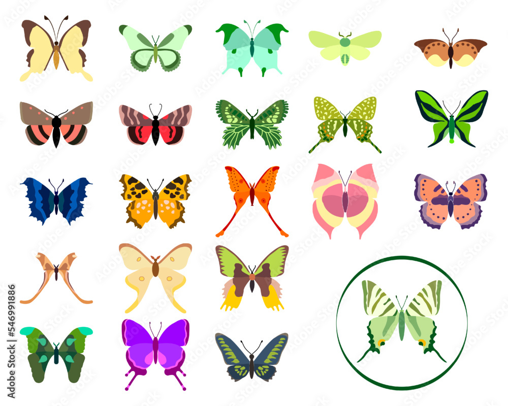 Big vector set, collection of butterflies on a white background. Isolated cartoon icon set, decorative insect.