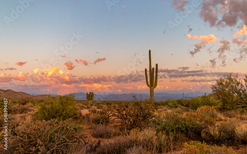 Desert Sunset Landscape Scenery In North Scottsdale AZ With Cactus