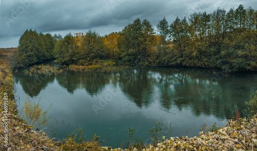 Fototapeta Naklejka Na Ścianę i Meble -  autumn wildlife in the countryside
