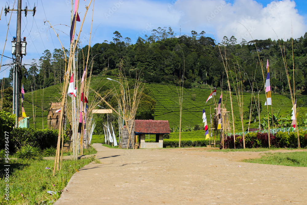 Rural atmosphere in the middle of Indonesian tea plantations