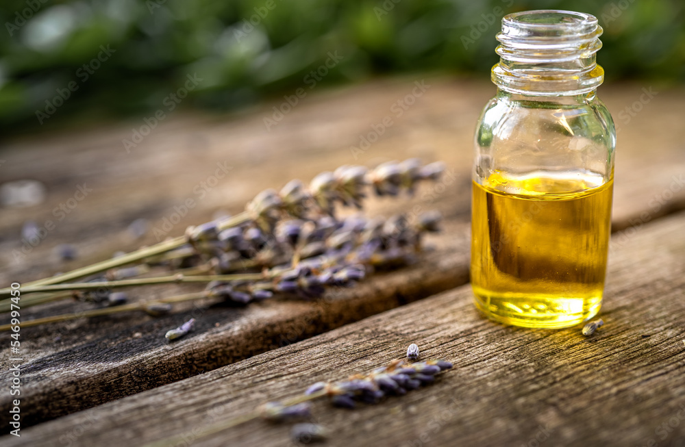 Essential oil in a small glass bottle with lavender sprigs on a wood table and blurred green background. Selective focus and copy space for text. Natural cosmetic products. Essential oil in a small glass bottle with lavender sprigs on a wood table and blurred green background. Selective focus and copy space for text. Natural cosmetic products.