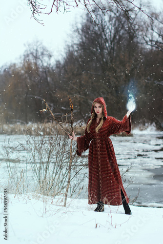 Bright color photo of a beautiful sorcerer girl with blond braids in a winter forest next to a frozen lake, shot with depth of field and bokeh