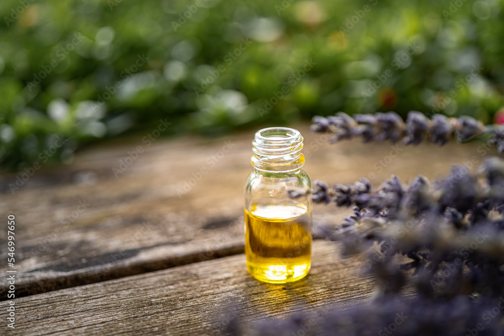 Essential oil in a small glass bottle with lavender sprigs on a wood table and blurred green background. Selective focus and copy space for text. Natural cosmetic products. Essential oil in a small glass bottle with lavender sprigs on a wood table and blurred green background. Selective focus and copy space for text. Natural cosmetic products.