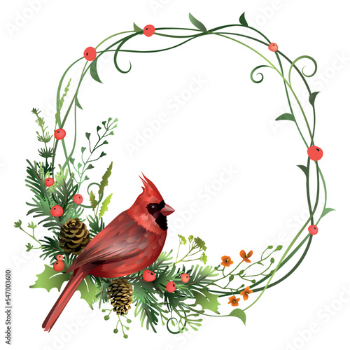 Plant frame with red cardinal bird, pine branches, red berries and cones. Christmas spruce wreath. Decorative element.