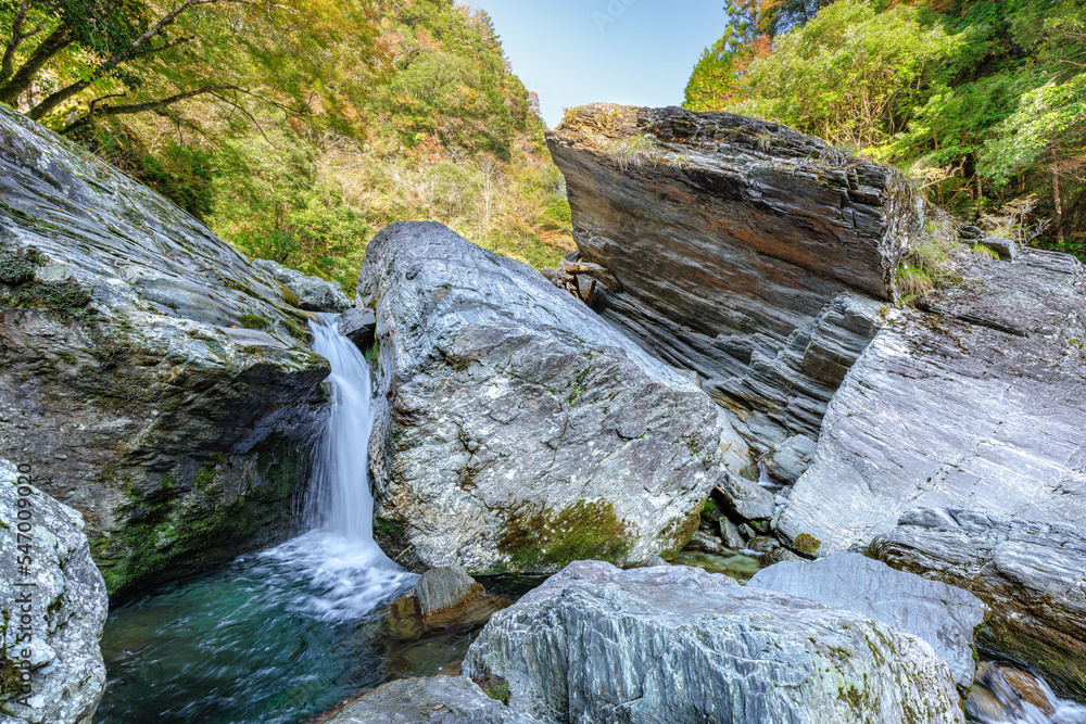 Obraz premium 安居渓谷