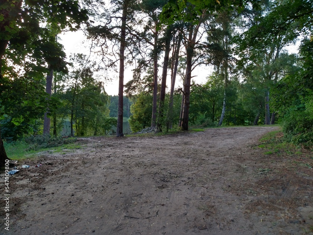 walk in the woods walk in the woods