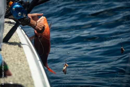 Obraz na plátne Fishing Gulf of Mexico Red Snapper Offshore Rods