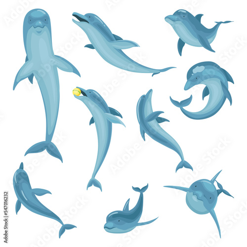 Dolphin cartoon characters set isolated on white. Vector illustration of sea life blue fish or wild nature animals in different poses. Ocean mammal in motion