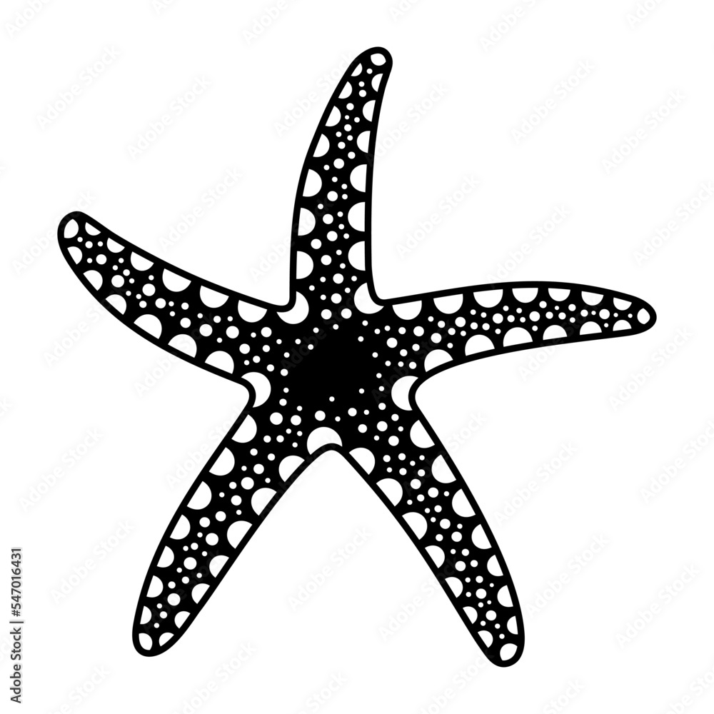 Starfish black and white. Hand drawn sketch of a sea star. Isolated vector illustration on a white background. Starfish black and white. Hand drawn sketch of a sea star. Isolated vector illustration on a white background.