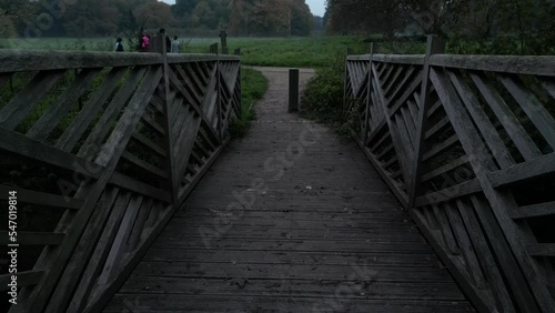 wooden bridge in the forest