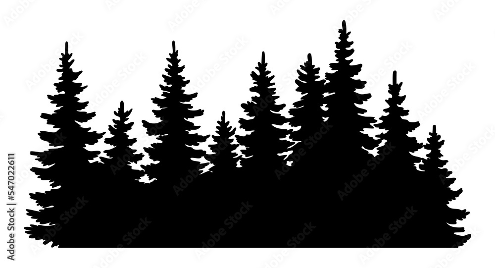 Fir trees silhouette. Coniferous spruce horizontal background pattern, black evergreen woods illustration. Beautiful hand drawn panorama with treetops forest